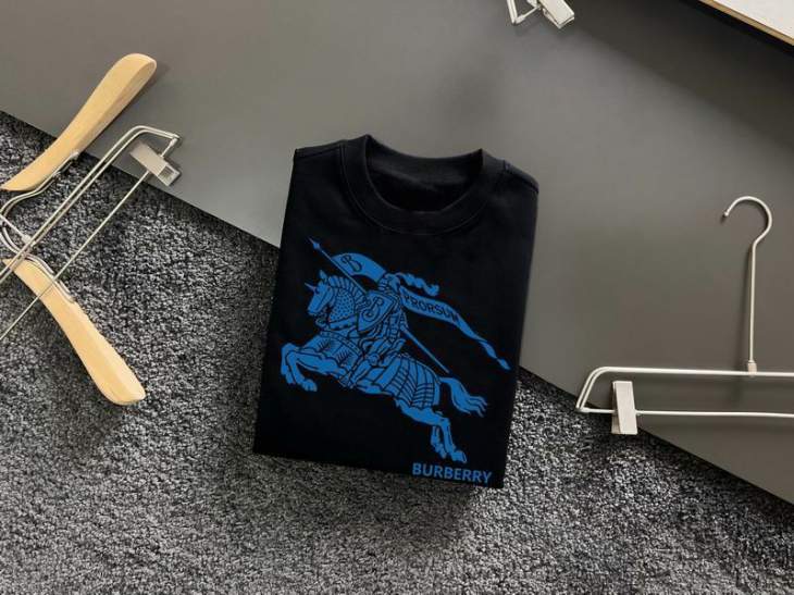 Picture of Burberry Sweatshirt _SKUBurberryM-4XL11Lr31930840